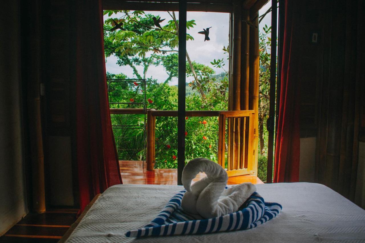 Bambura Hermosa Villas Uvita Eksteriør billede