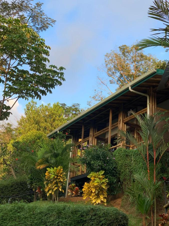Bambura Hermosa Villas Uvita Eksteriør billede