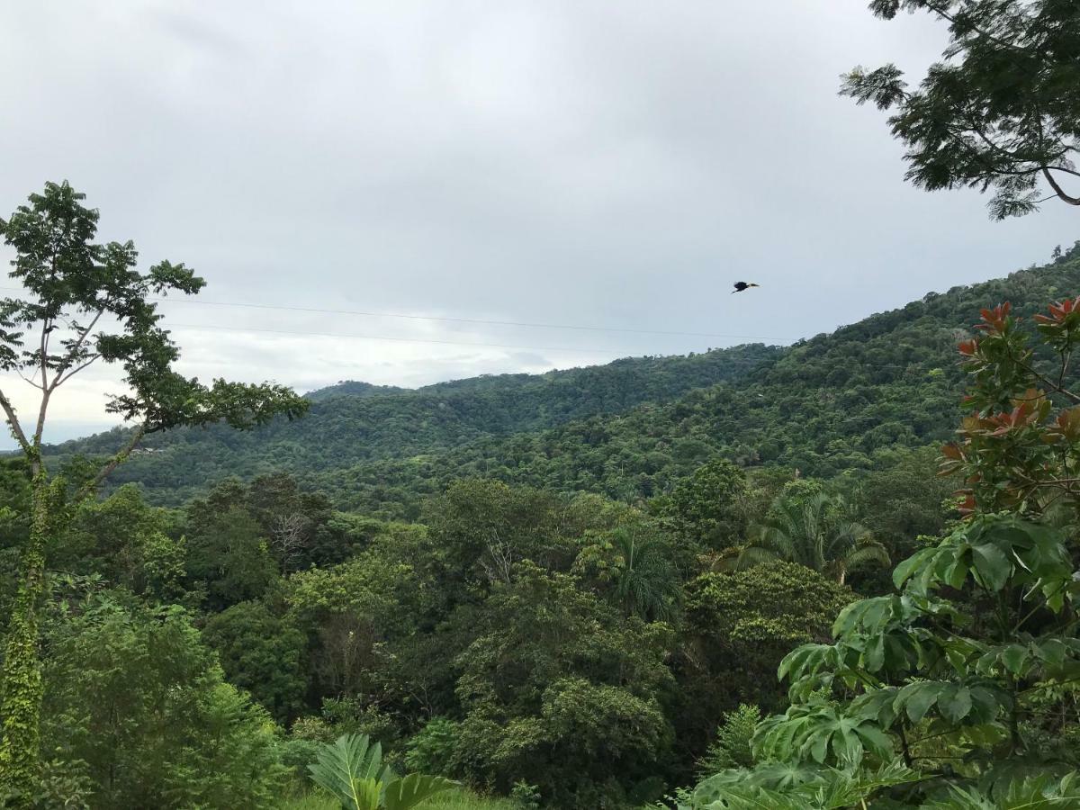 Bambura Hermosa Villas Uvita Eksteriør billede